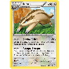 pokemon-tcg-112-164-lineon-uncommon-primo-choc-xy-prc