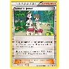 pokemon-tcg-141-164-senior-et-junior-uncommon-primo-choc-xy-prc