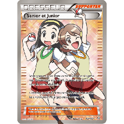 pokemon-tcg-160-164-senior-et-junior-ultra-rare-primo-choc-xy-prc