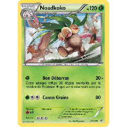 pokemon-tcg-2-110-noadkoko-uncommon-ciel-rugissant-xy-ros