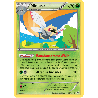 pokemon-tcg-10-110-ninjask-uncommon-ciel-rugissant-xy-ros