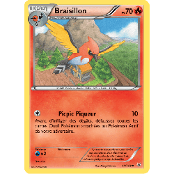 pokemon-tcg-14-110-braisillon-uncommon-ciel-rugissant-xy-ros