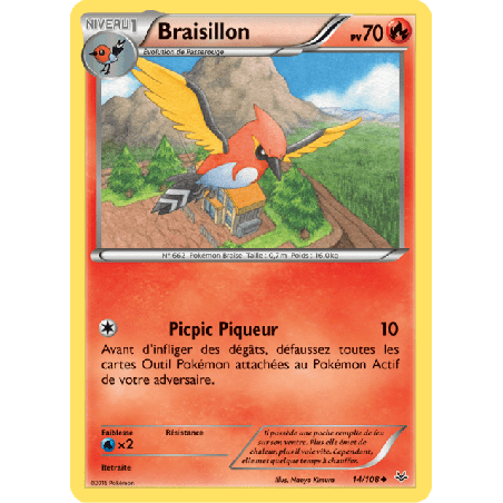 pokemon-tcg-14-110-braisillon-uncommon-ciel-rugissant-xy-ros