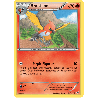 pokemon-tcg-14-110-braisillon-uncommon-ciel-rugissant-xy-ros