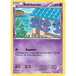 pokemon-tcg-30-110-polichombr-common-ciel-rugissant-xy-ros