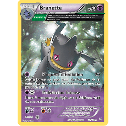 pokemon-tcg-32-110-branette-rare-ciel-rugissant-xy-ros