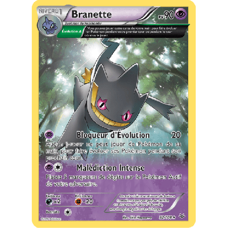 pokemon-tcg-32-110-branette-rare-ciel-rugissant-xy-ros
