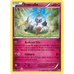 pokemon-tcg-48-110-trousselin-rare-ciel-rugissant-xy-ros