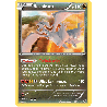 pokemon-tcg-63-110-reshiram-holo-rare-ciel-rugissant-xy-ros