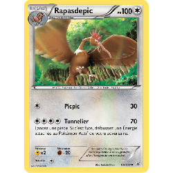pokemon-tcg-66-110-rapasdepic-uncommon-ciel-rugissant-xy-ros