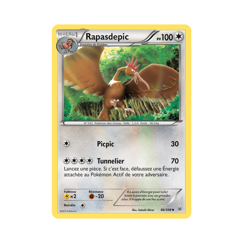 pokemon-tcg-66-110-rapasdepic-uncommon-ciel-rugissant-xy-ros