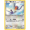 pokemon-tcg-70-110-nirondelle-common-ciel-rugissant-xy-ros