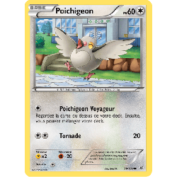 pokemon-tcg-78-110-poichigeon-common-ciel-rugissant-xy-ros