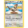 pokemon-tcg-79-110-colombeau-uncommon-ciel-rugissant-xy-ros