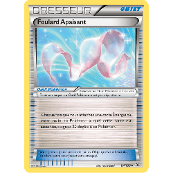 pokemon-tcg-84-110-foulard-apaisant-uncommon-ciel-rugissant-xy-ros