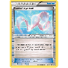 pokemon-tcg-84-110-foulard-apaisant-uncommon-ciel-rugissant-xy-ros