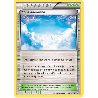 pokemon-tcg-89-110-zone-aerienne-uncommon-ciel-rugissant-xy-ros