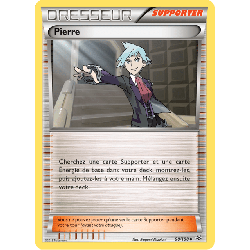 pokemon-tcg-90-110-pierre-uncommon-ciel-rugissant-xy-ros