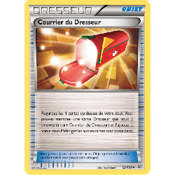 pokemon-tcg-92-110-courrier-du-dresseur-uncommon-ciel-rugissant-xy-ros