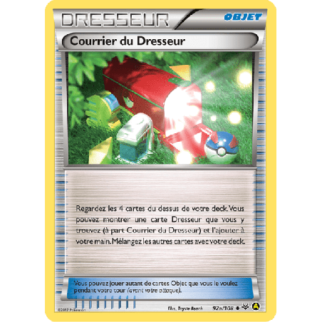 pokemon-tcg-92a-110-courrier-du-dresseur-ciel-rugissant-xy-ros