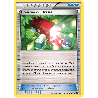 pokemon-tcg-92a-110-courrier-du-dresseur-ciel-rugissant-xy-ros