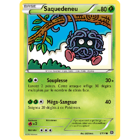 pokemon-tcg-1-116-saquedeneu-common-offensive-vapeur-xy-sts