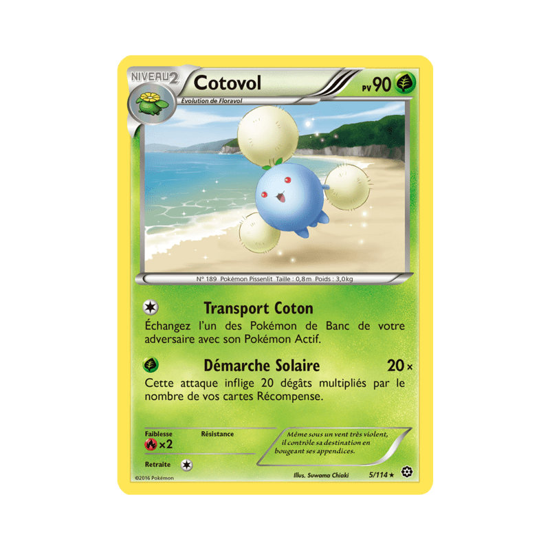 pokemon-tcg-5-116-cotovol-rare-offensive-vapeur-xy-sts