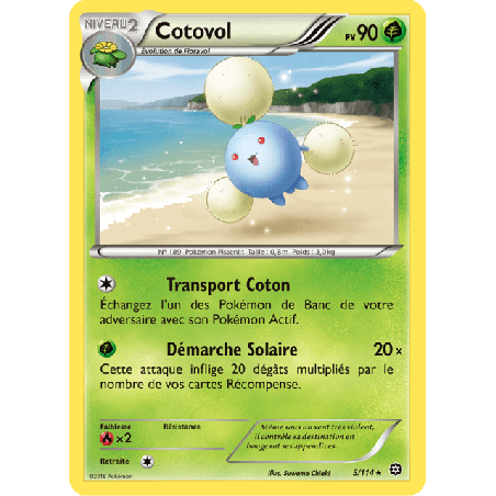 pokemon-tcg-5-116-cotovol-rare-offensive-vapeur-xy-sts