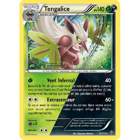 pokemon-tcg-11-116-tengalice-holo-rare-offensive-vapeur-xy-sts