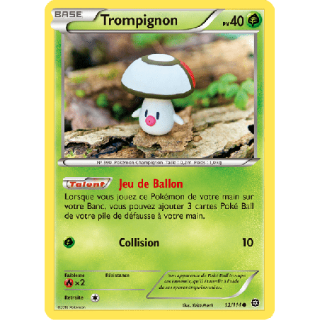 pokemon-tcg-12-116-trompignon-common-offensive-vapeur-xy-sts
