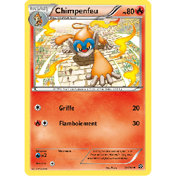 pokemon-tcg-19-116-chimpenfeu-uncommon-offensive-vapeur-xy-sts