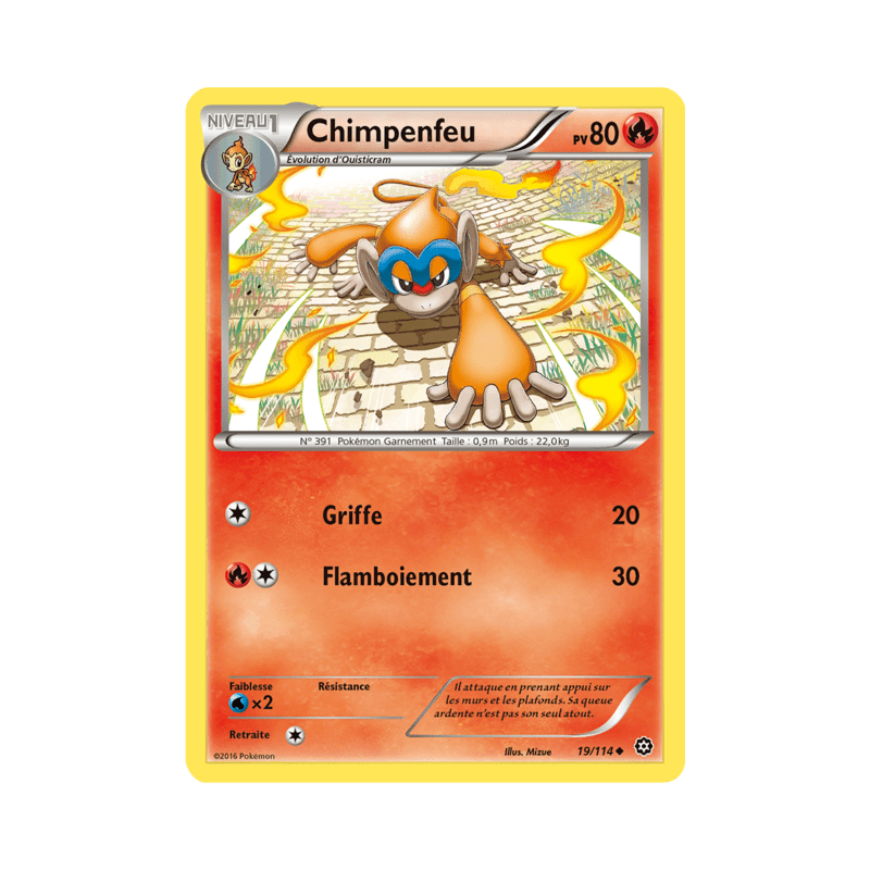 pokemon-tcg-19-116-chimpenfeu-uncommon-offensive-vapeur-xy-sts