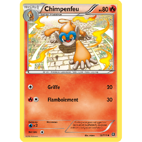 pokemon-tcg-19-116-chimpenfeu-uncommon-offensive-vapeur-xy-sts