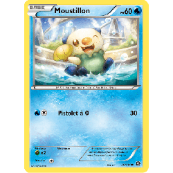 pokemon-tcg-30-116-moustillon-common-offensive-vapeur-xy-sts