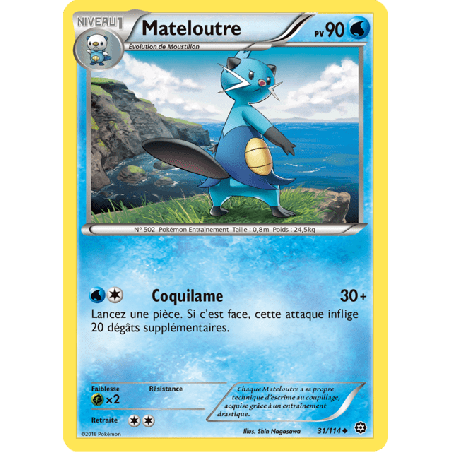 pokemon-tcg-31-116-mateloutre-uncommon-offensive-vapeur-xy-sts