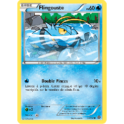 pokemon-tcg-33-116-flingouste-common-offensive-vapeur-xy-sts