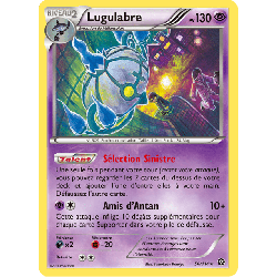 pokemon-tcg-50-116-lugulabre-holo-rare-offensive-vapeur-xy-sts