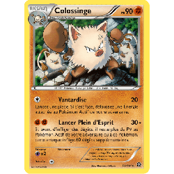 pokemon-tcg-53-116-colossinge-rare-offensive-vapeur-xy-sts