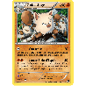 pokemon-tcg-53-116-colossinge-rare-offensive-vapeur-xy-sts
