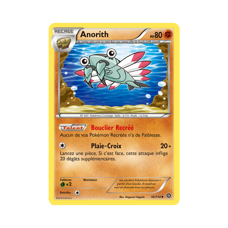 pokemon-tcg-56-116-anorith-uncommon-offensive-vapeur-xy-sts
