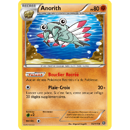 pokemon-tcg-56-116-anorith-uncommon-offensive-vapeur-xy-sts