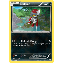 pokemon-tcg-63-116-scalpion-common-offensive-vapeur-xy-sts