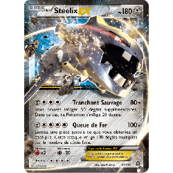 pokemon-tcg-67-116-steelix-ex-double-rare-offensive-vapeur-xy-sts