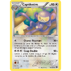 pokemon-tcg-91-116-capidextre-uncommon-offensive-vapeur-xy-sts