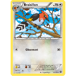 pokemon-tcg-95-116-braisillon-uncommon-offensive-vapeur-xy-sts