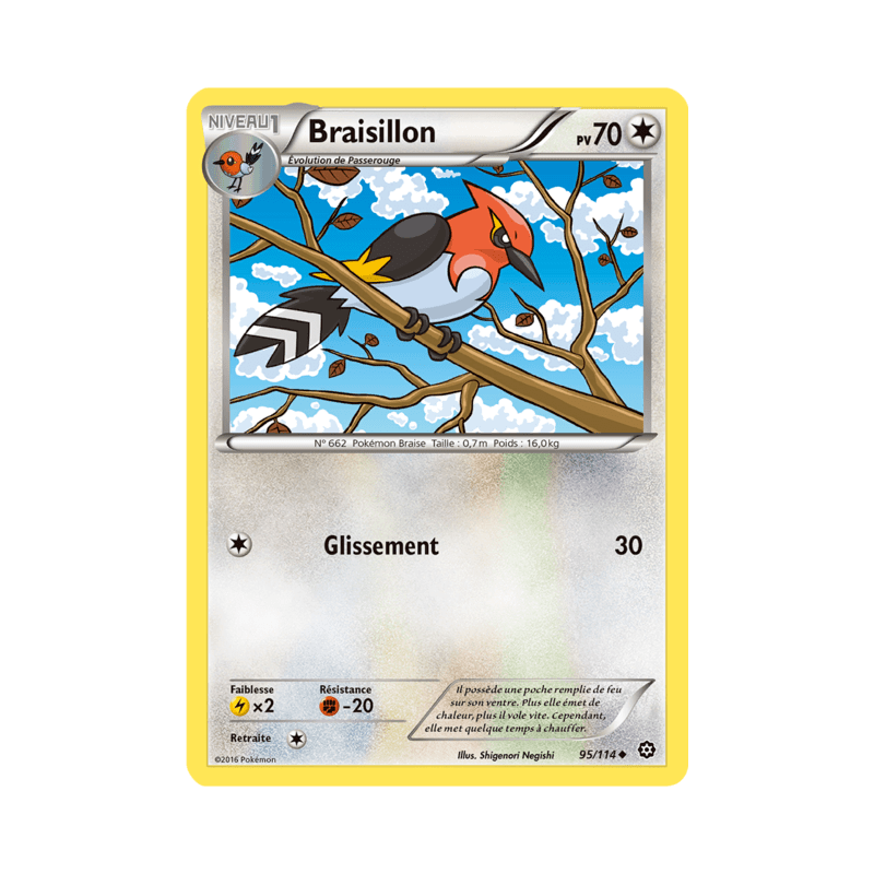 pokemon-tcg-95-116-braisillon-uncommon-offensive-vapeur-xy-sts