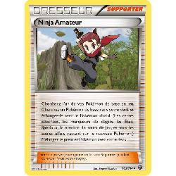 pokemon-tcg-103-116-ninja-amateur-uncommon-offensive-vapeur-xy-sts