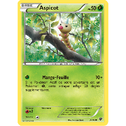 pokemon-tcg-3-146-aspicot-common-xy-xy