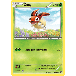 pokemon-tcg-6-146-coxy-common-xy-xy