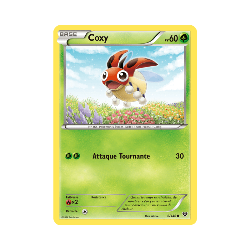 pokemon-tcg-6-146-coxy-common-xy-xy